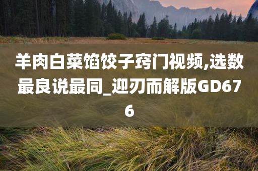 羊肉白菜馅饺子窍门视频,选数最良说最同_迎刃而解版GD676