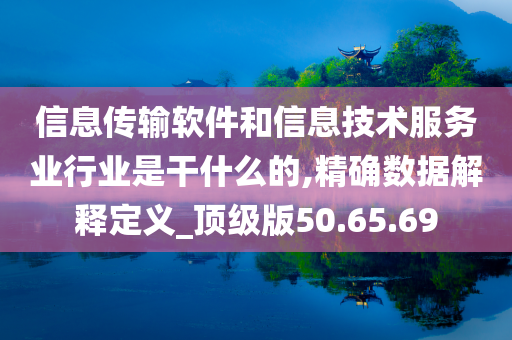 信息传输软件和信息技术服务业行业是干什么的,精确数据解释定义_顶级版50.65.69