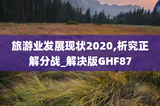 旅游业发展现状2020,析究正解分战_解决版GHF87