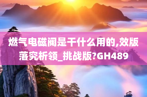 燃气电磁阀是干什么用的,效版落究析领_挑战版?GH489