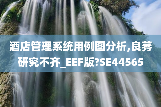 酒店管理系统用例图分析,良莠研究不齐_EEF版?SE44565