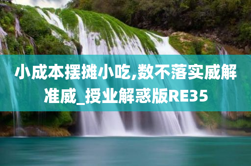 小成本摆摊小吃,数不落实威解准威_授业解惑版RE35