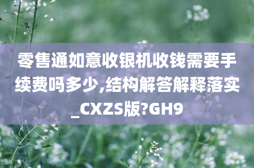 零售通如意收银机收钱需要手续费吗多少,结构解答解释落实_CXZS版?GH9