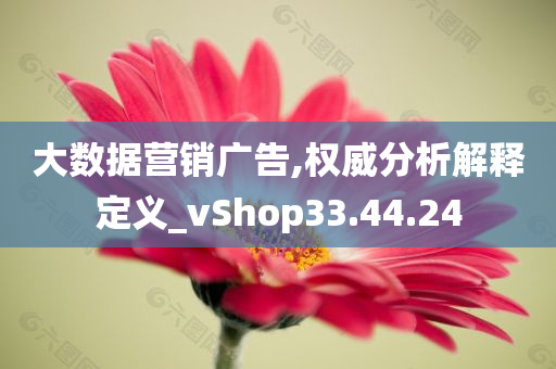 大数据营销广告,权威分析解释定义_vShop33.44.24