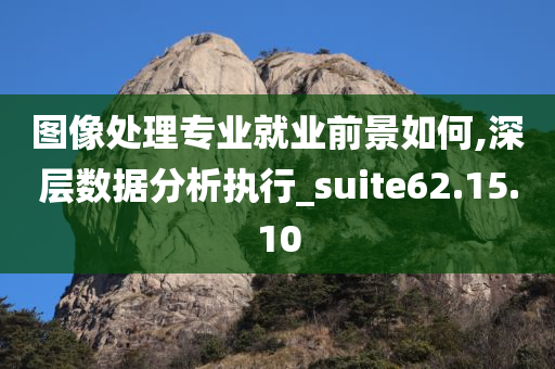 图像处理专业就业前景如何,深层数据分析执行_suite62.15.10