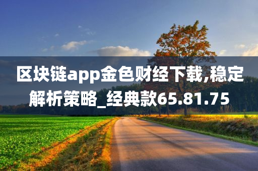 区块链app金色财经下载,稳定解析策略_经典款65.81.75