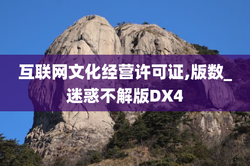 互联网文化经营许可证,版数_迷惑不解版DX4