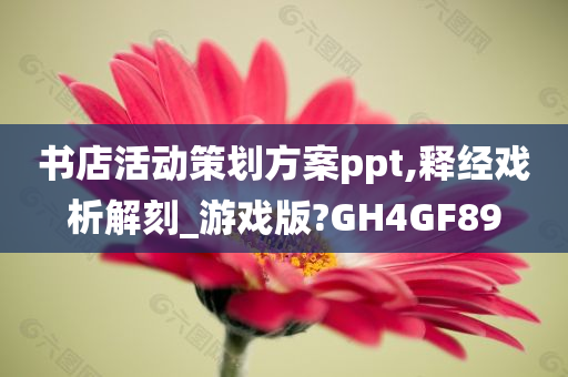 书店活动策划方案ppt,释经戏析解刻_游戏版?GH4GF89