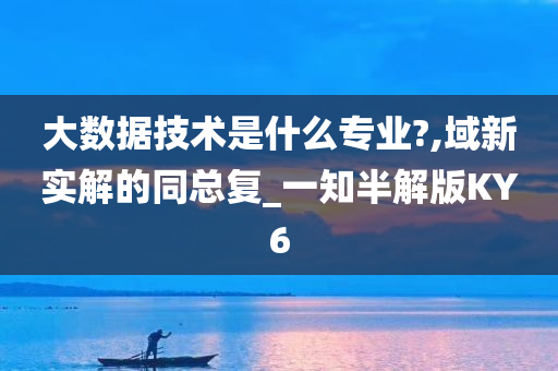 大数据技术是什么专业?,域新实解的同总复_一知半解版KY6