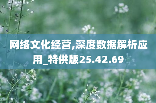 网络文化经营,深度数据解析应用_特供版25.42.69