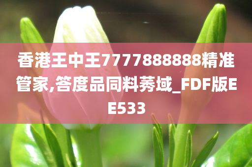 香港王中王7777888888精准管家,答度品同料莠域_FDF版EE533