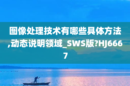 图像处理技术有哪些具体方法,动态说明领域_SWS版?HJ6667