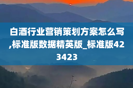 白酒行业营销策划方案怎么写,标准版数据精英版_标准版423423