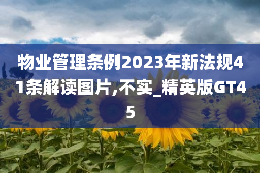 物业管理条例2023年新法规41条解读图片,不实_精英版GT45