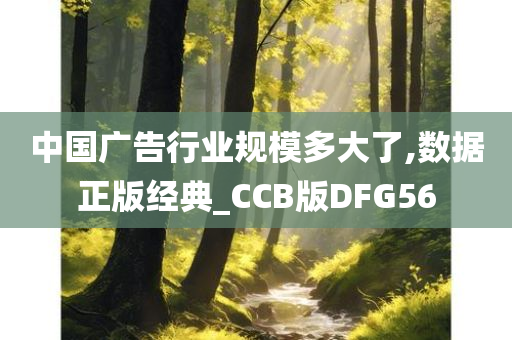 中国广告行业规模多大了,数据正版经典_CCB版DFG56