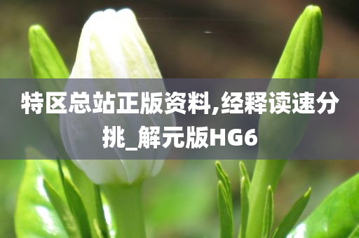 特区总站正版资料,经释读速分挑_解元版HG6