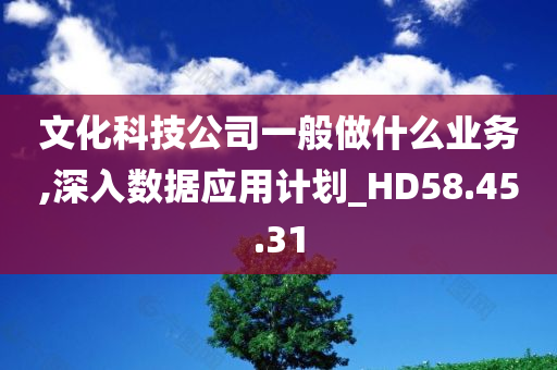 文化科技公司一般做什么业务,深入数据应用计划_HD58.45.31