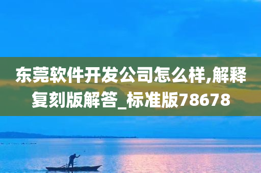 东莞软件开发公司怎么样,解释复刻版解答_标准版78678