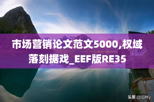 市场营销论文范文5000,权域落刻据戏_EEF版RE35