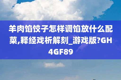 羊肉馅饺子怎样调馅放什么配菜,释经戏析解刻_游戏版?GH4GF89