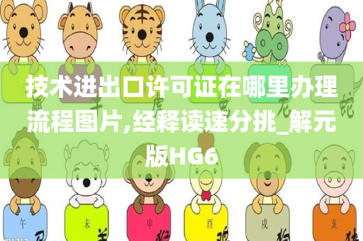 技术进出口许可证在哪里办理流程图片,经释读速分挑_解元版HG6