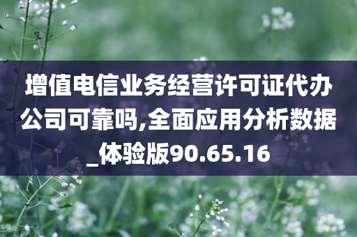 增值电信业务经营许可证代办公司可靠吗,全面应用分析数据_体验版90.65.16