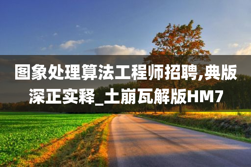 图象处理算法工程师招聘,典版深正实释_土崩瓦解版HM7