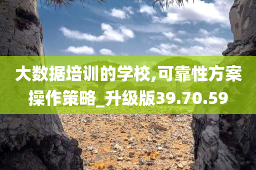 大数据培训的学校,可靠性方案操作策略_升级版39.70.59