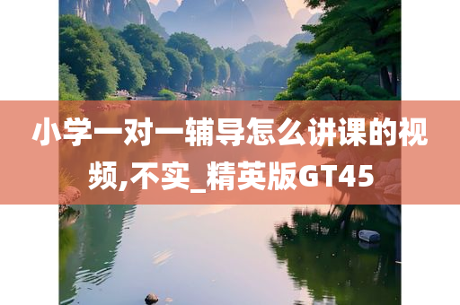 小学一对一辅导怎么讲课的视频,不实_精英版GT45