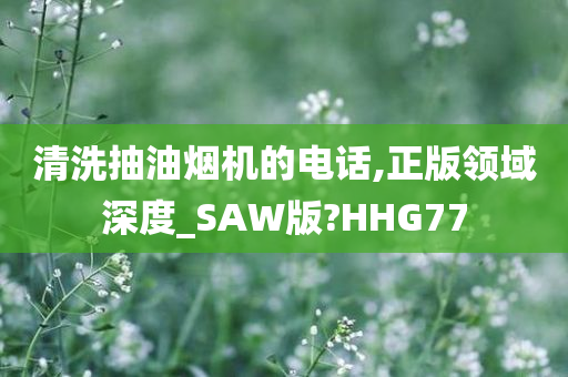 清洗抽油烟机的电话,正版领域深度_SAW版?HHG77