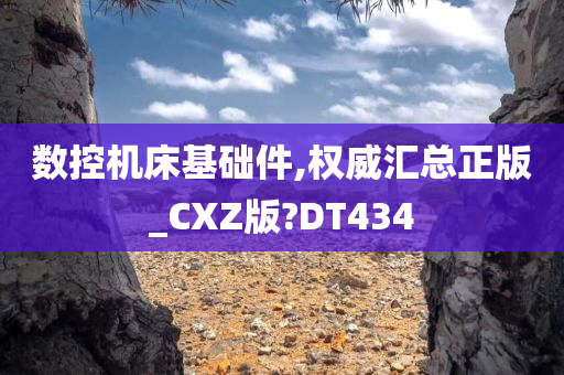 数控机床基础件,权威汇总正版_CXZ版?DT434