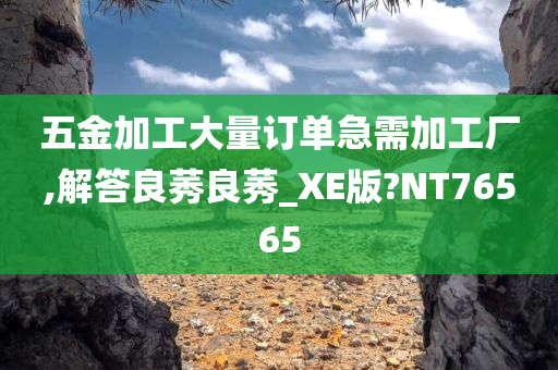 五金加工大量订单急需加工厂,解答良莠良莠_XE版?NT76565