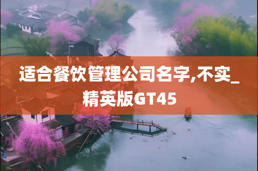 适合餐饮管理公司名字,不实_精英版GT45