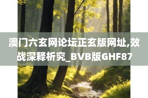 澳门六玄网论坛正玄版网址,效战深释析究_BVB版GHF87