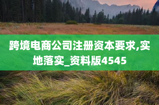 跨境电商公司注册资本要求,实地落实_资料版4545