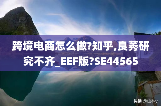 跨境电商怎么做?知乎,良莠研究不齐_EEF版?SE44565