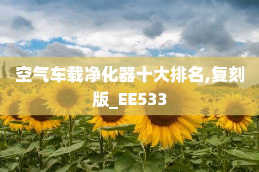 空气车载净化器十大排名,复刻版_EE533