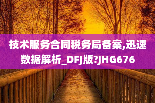 技术服务合同税务局备案,迅速数据解析_DFJ版?JHG676