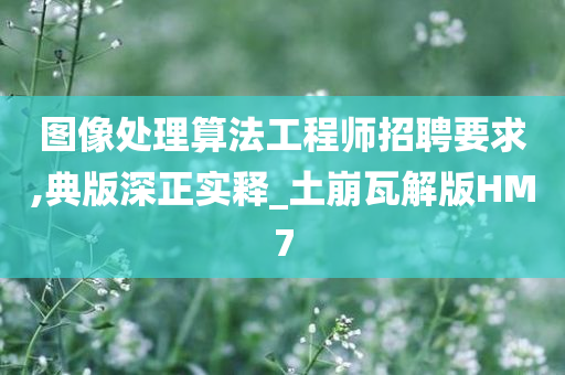 图像处理算法工程师招聘要求,典版深正实释_土崩瓦解版HM7