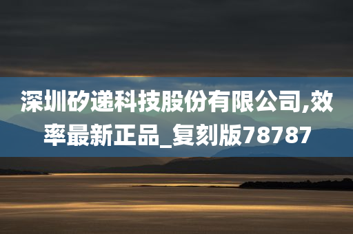 深圳矽递科技股份有限公司,效率最新正品_复刻版78787