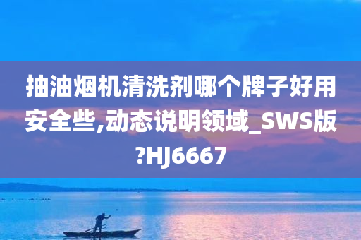 抽油烟机清洗剂哪个牌子好用安全些,动态说明领域_SWS版?HJ6667