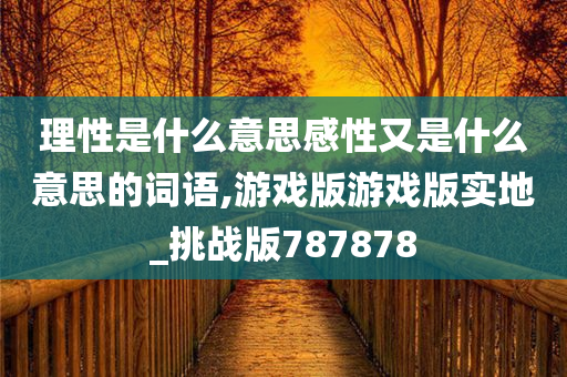 理性是什么意思感性又是什么意思的词语,游戏版游戏版实地_挑战版787878