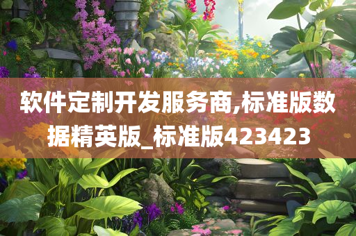 软件定制开发服务商,标准版数据精英版_标准版423423