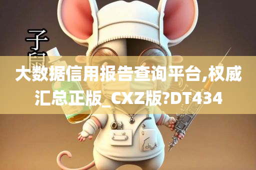 大数据信用报告查询平台,权威汇总正版_CXZ版?DT434