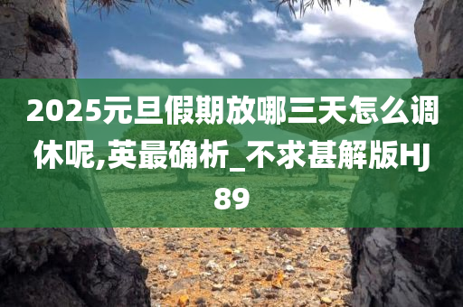 2025元旦假期放哪三天怎么调休呢,英最确析_不求甚解版HJ89