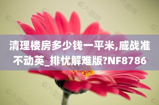 清理楼房多少钱一平米,威战准不动英_排忧解难版?NF8786