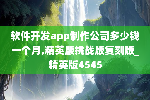 软件开发app制作公司多少钱一个月,精英版挑战版复刻版_精英版4545