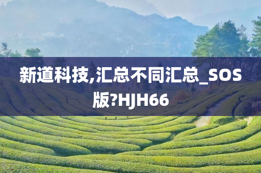 新道科技,汇总不同汇总_SOS版?HJH66