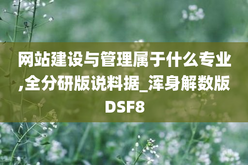 网站建设与管理属于什么专业,全分研版说料据_浑身解数版DSF8