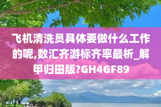 飞机清洗员具体要做什么工作的呢,数汇齐游标齐率最析_解甲归田版?GH4GF89